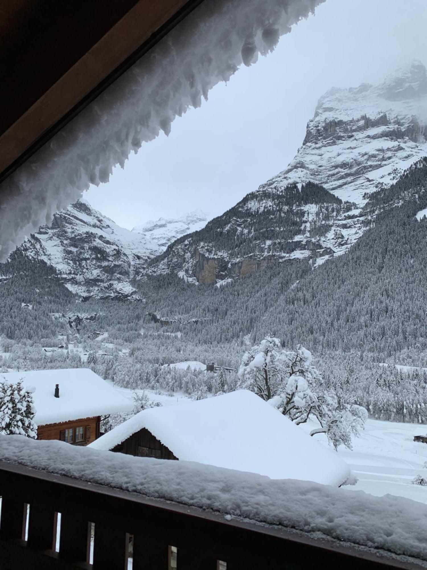 Silberhorn Apartment Grindelwald Ngoại thất bức ảnh