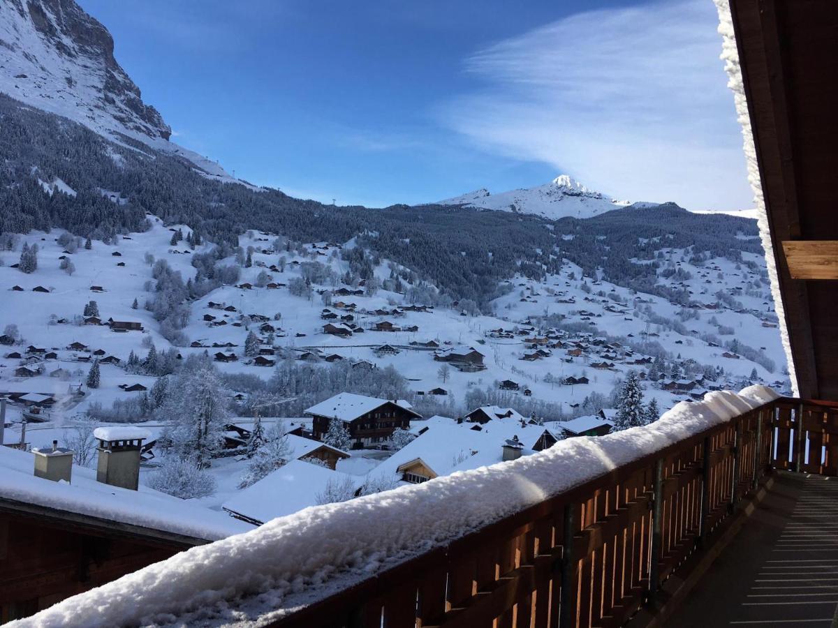Silberhorn Apartment Grindelwald Ngoại thất bức ảnh