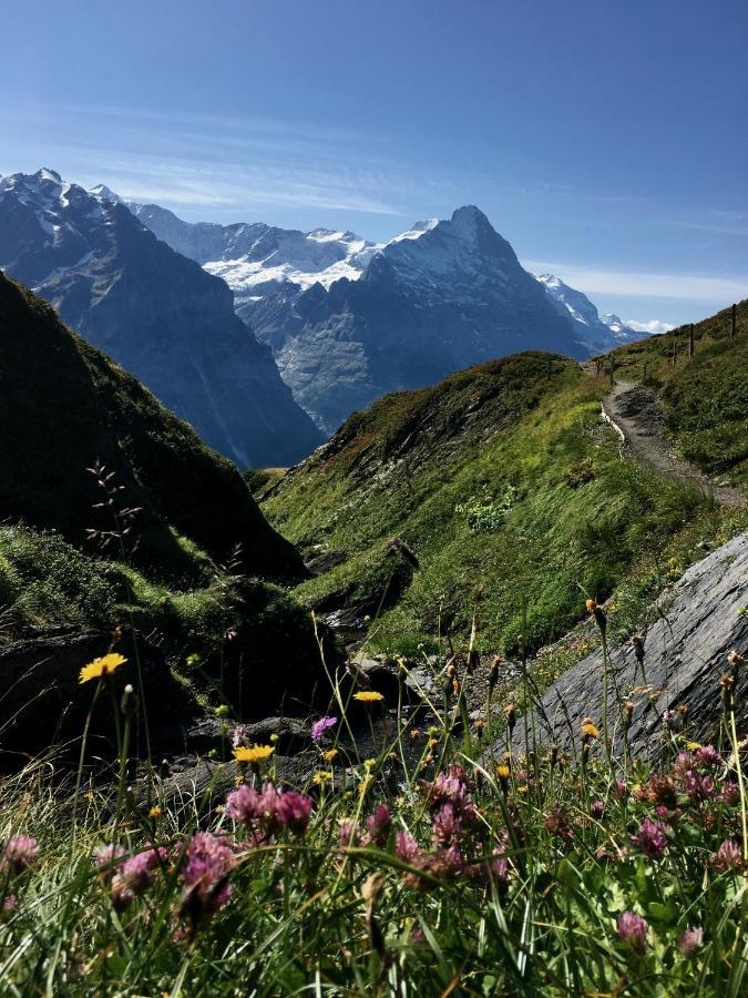Silberhorn Apartment Grindelwald Ngoại thất bức ảnh