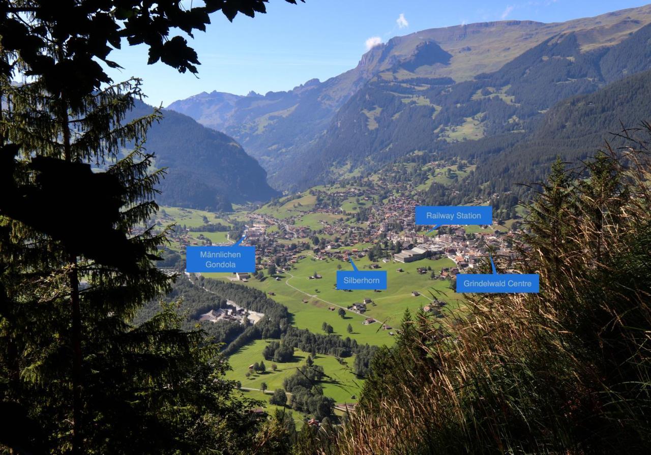 Silberhorn Apartment Grindelwald Ngoại thất bức ảnh