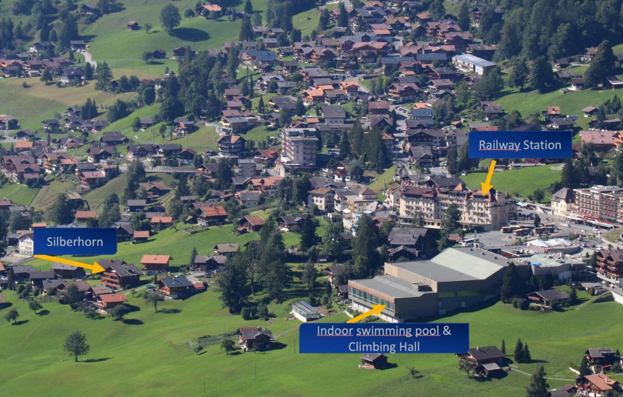 Silberhorn Apartment Grindelwald Ngoại thất bức ảnh