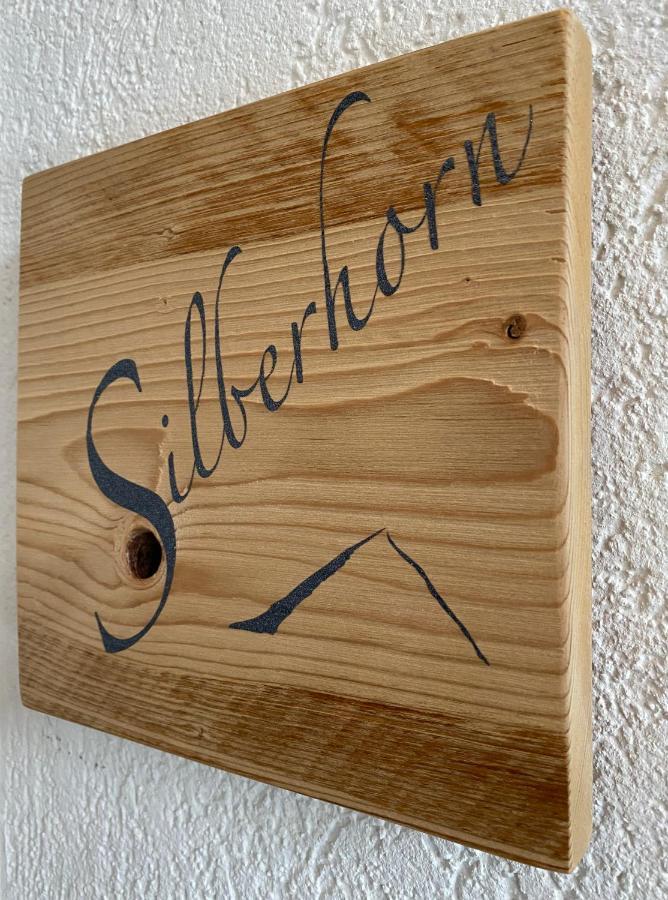 Silberhorn Apartment Grindelwald Ngoại thất bức ảnh
